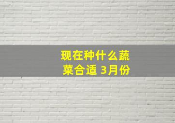 现在种什么蔬菜合适 3月份